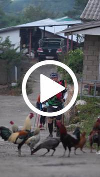 BIB:  <button type="button" onclick="openModal(27611143)" class="btn btn-primary btn-sm float-right" data-toggle="modal" data-target=".modal-high-quality">
                <i class="fa fa-download"></i> Download
                </button>